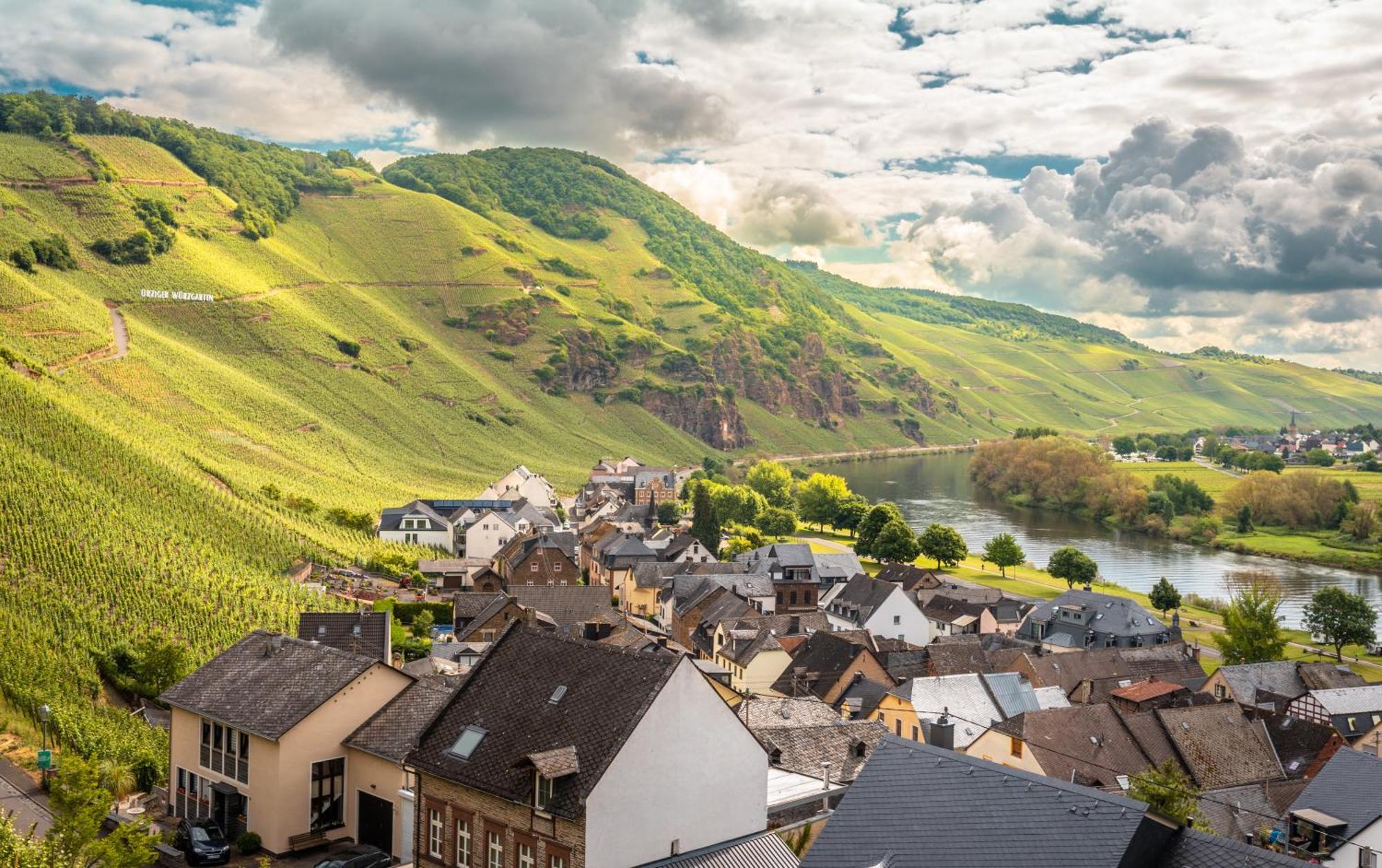 Weingut / Gaestehaus Gerlach อือร์ซิก ภายนอก รูปภาพ