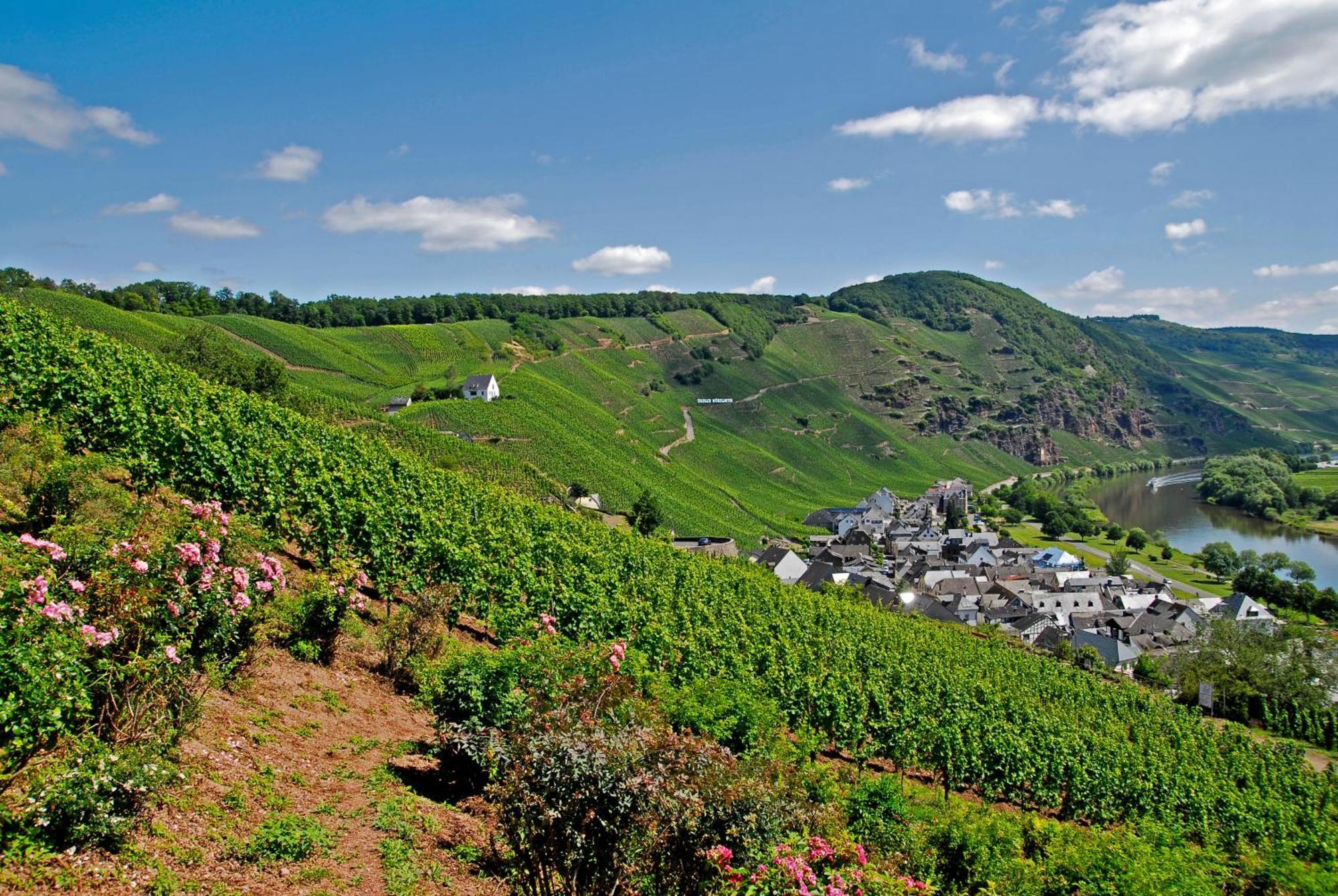 Weingut / Gaestehaus Gerlach อือร์ซิก ภายนอก รูปภาพ