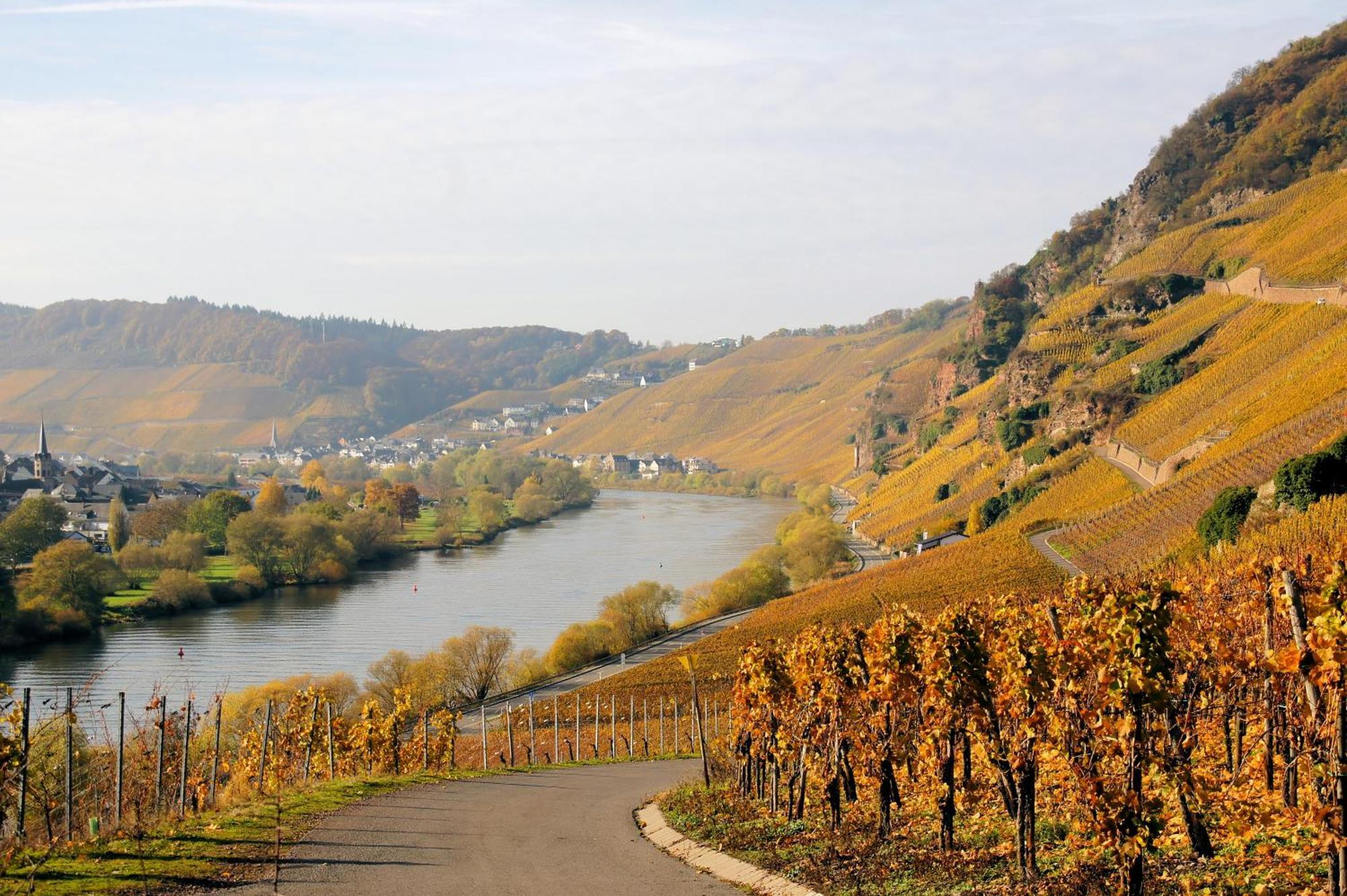 Weingut / Gaestehaus Gerlach อือร์ซิก ภายนอก รูปภาพ