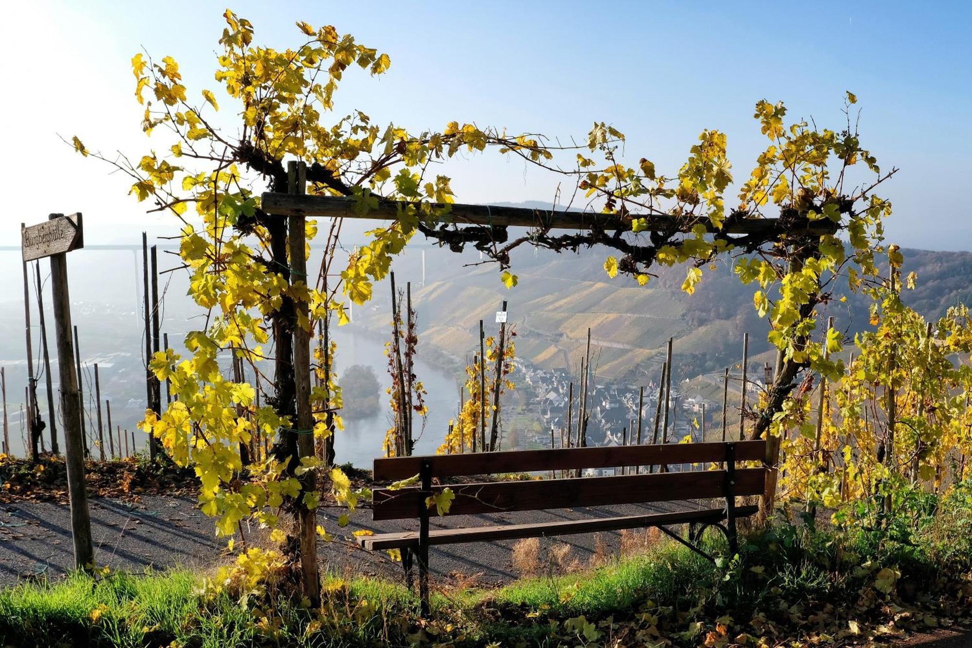 Weingut / Gaestehaus Gerlach อือร์ซิก ภายนอก รูปภาพ