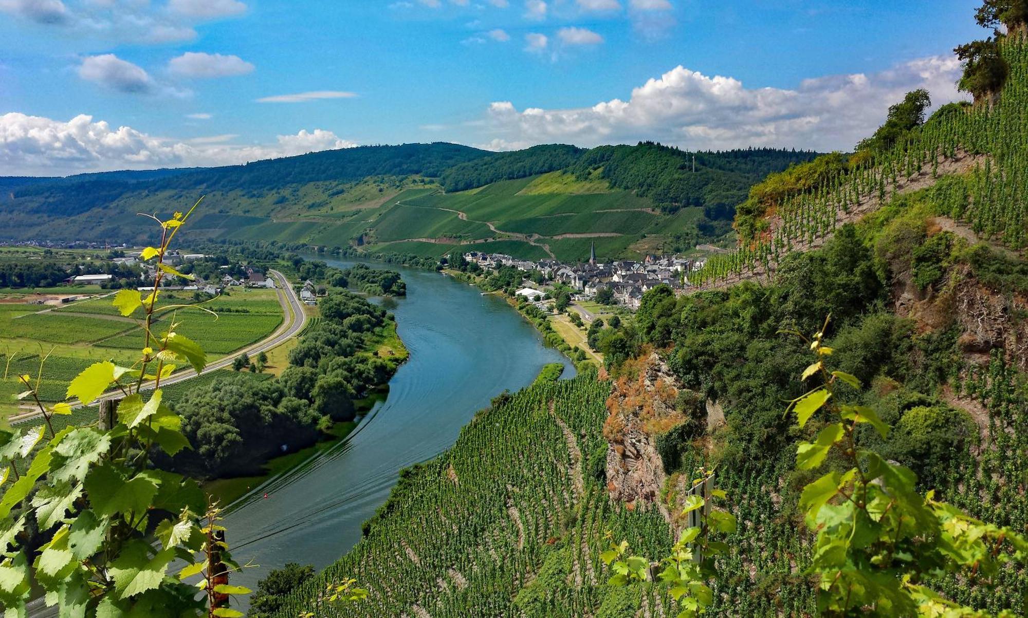 Weingut / Gaestehaus Gerlach อือร์ซิก ภายนอก รูปภาพ