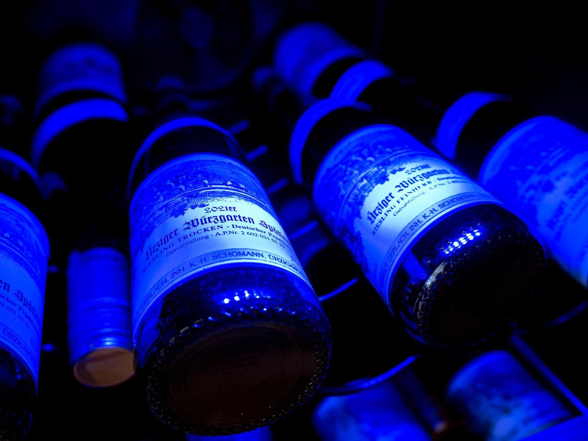 Weingut / Gaestehaus Gerlach อือร์ซิก ภายนอก รูปภาพ