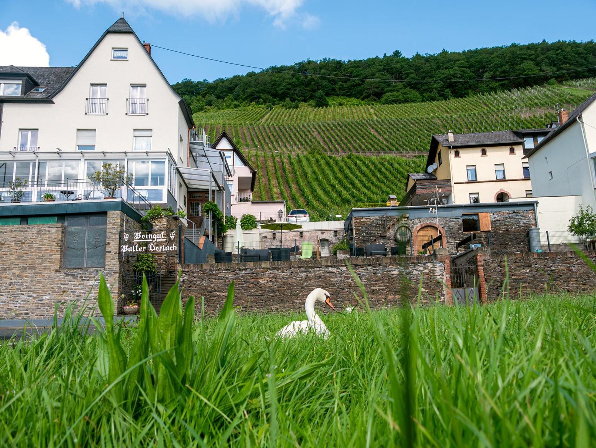Weingut / Gaestehaus Gerlach อือร์ซิก ภายนอก รูปภาพ